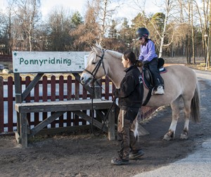 ponnyridning1